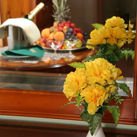 Hotel Bristol Georgy House